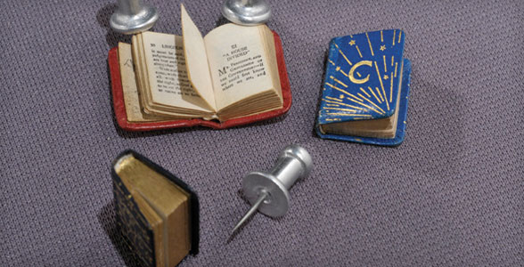 Literature in Miniature