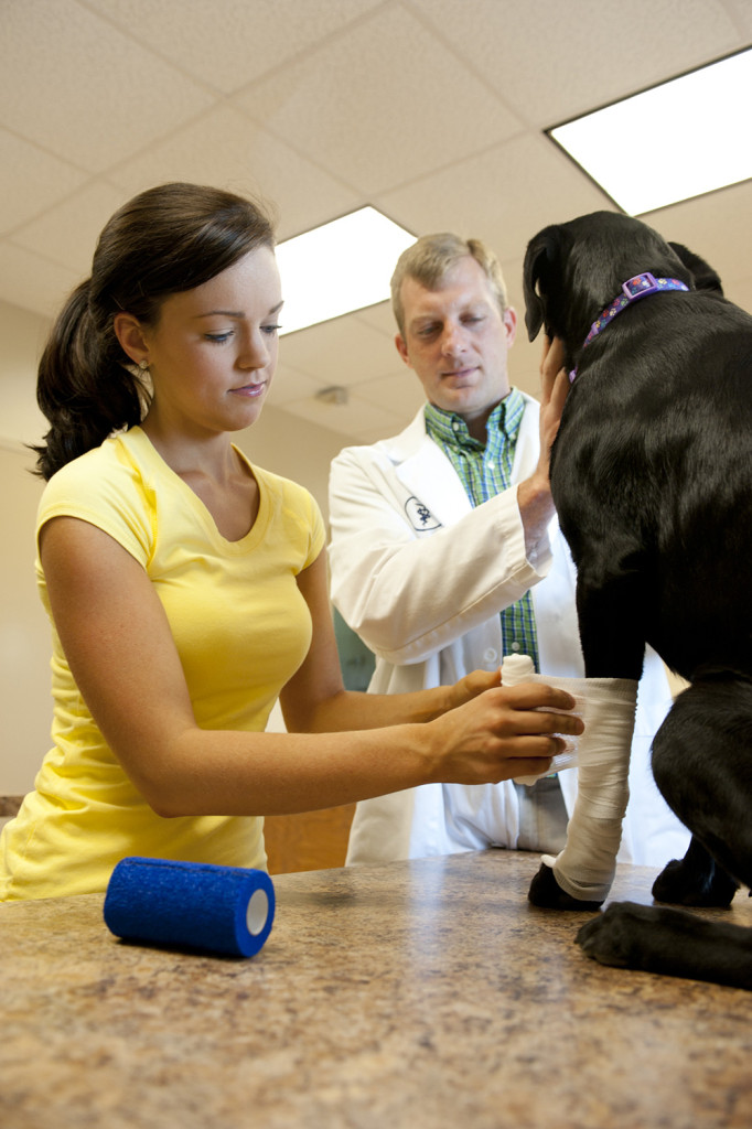 Kids on Campus — Our Tennessee