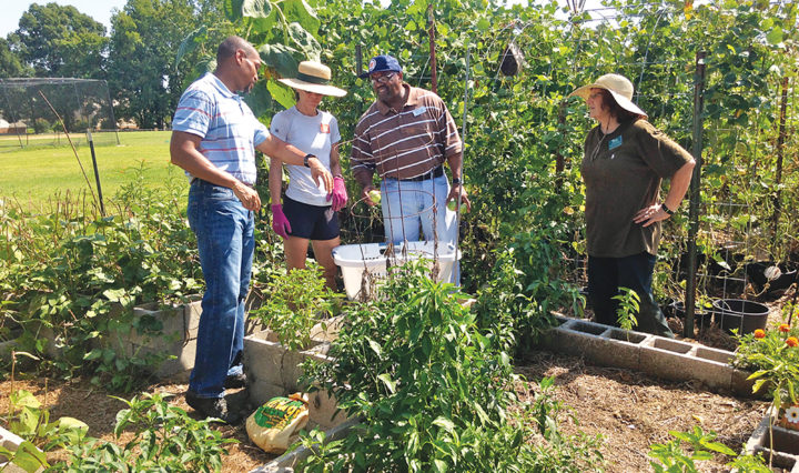 Chris Cooper works outdoors with 3 master gardeners