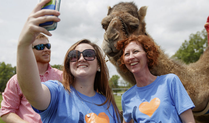 UT Martin faculty and staff enjoy a petting zoo and camel rides on “Hump Day” during I Heart UTM week.