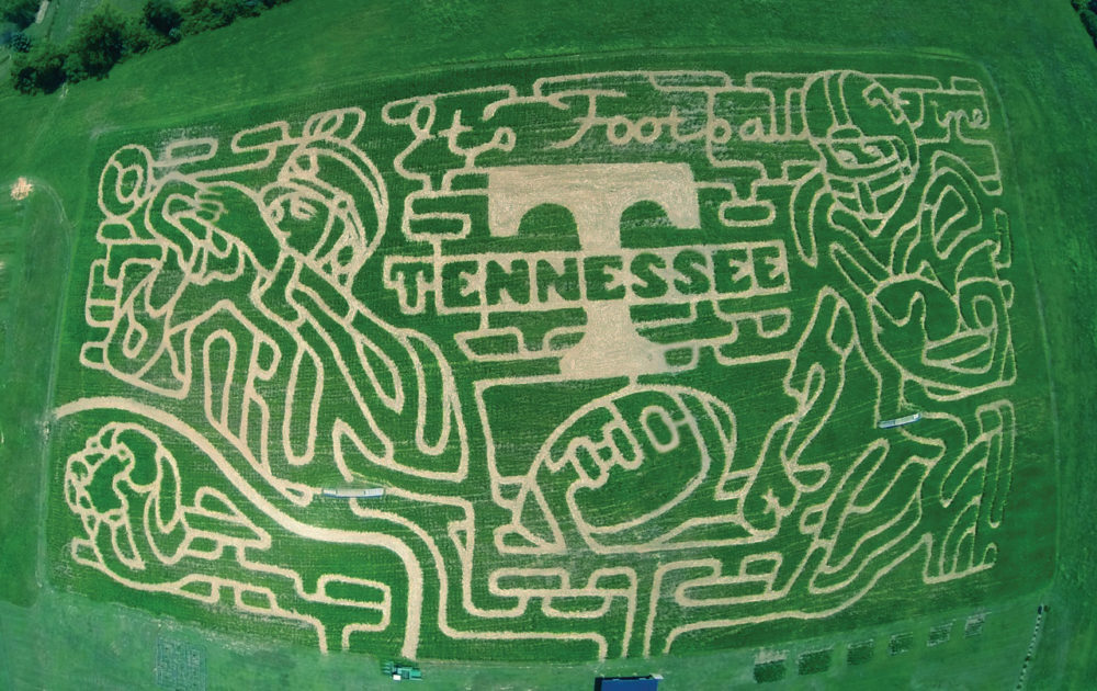 The 2015 corn maze at Oakes Farm paid tribute to the Oakes family’s alma mater.