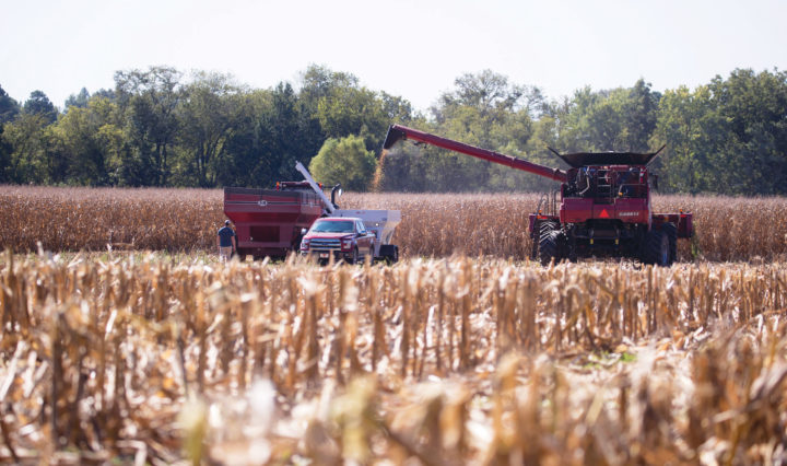 corn harvesting equipment in West Tennessee