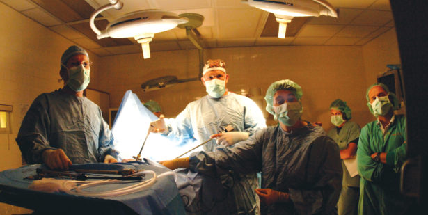 Veterinarians in surgery scrubs and face masks