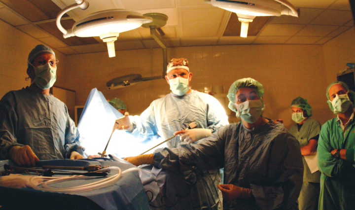 Veterinarians in surgery scrubs and face masks