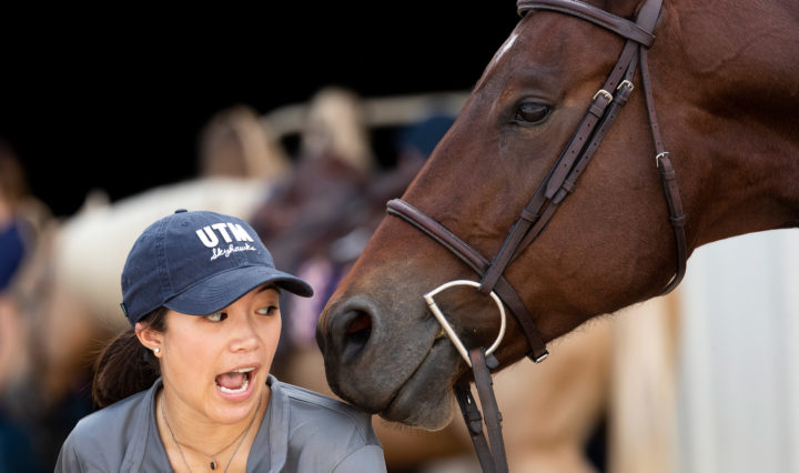 A chestnut horse displays affection with a young woman in a UTM Skyhawks cap