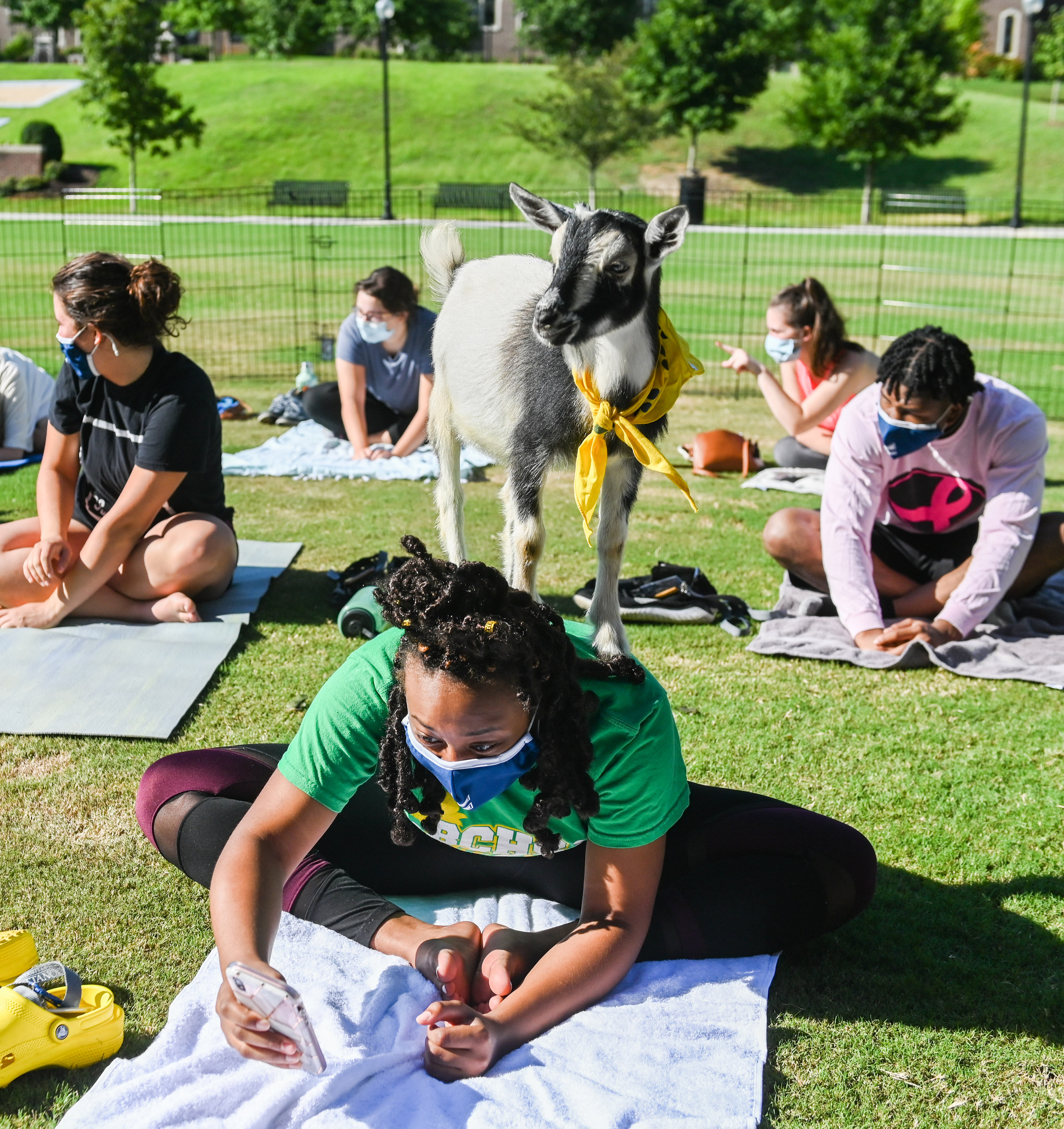 Student practice yoga poses on mats as a goat wanders around