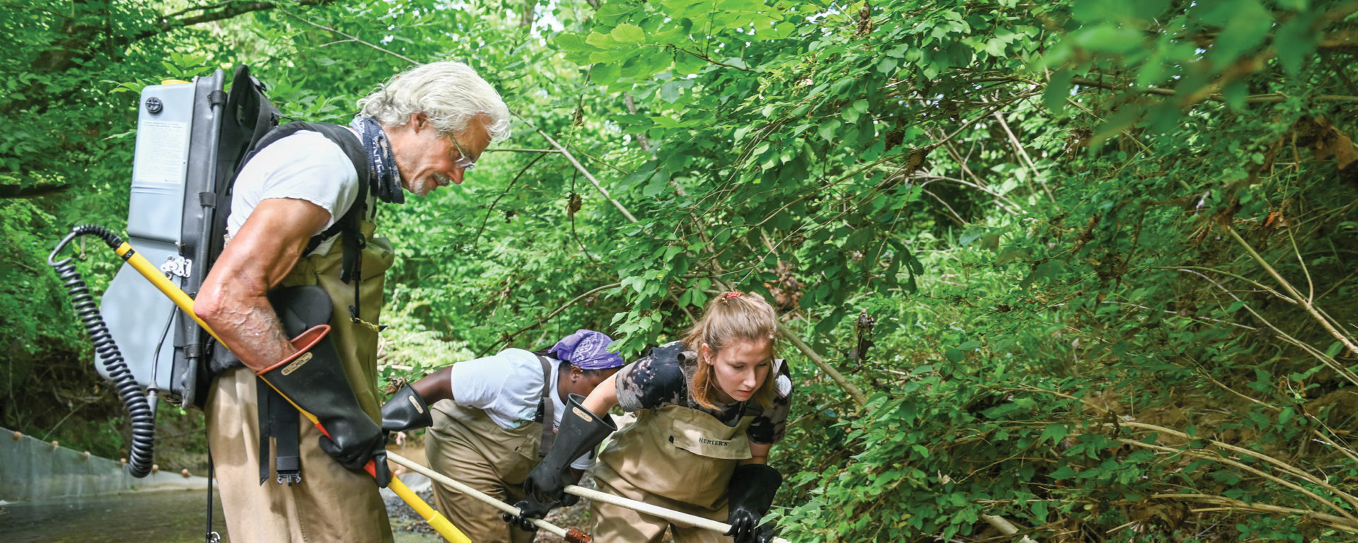 Mark Schorr, UTC professor of biology, geology and environmental science, works to determine stream quality with UTC students Kendra Keller, left, and Jasmin Barton-Holt.