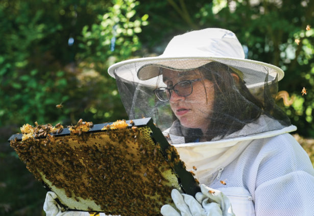 a woman in protective gear inspects a hive of honey bees