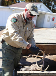 A man dressed in a wildnerness resource agency uniform inspects a dead buck