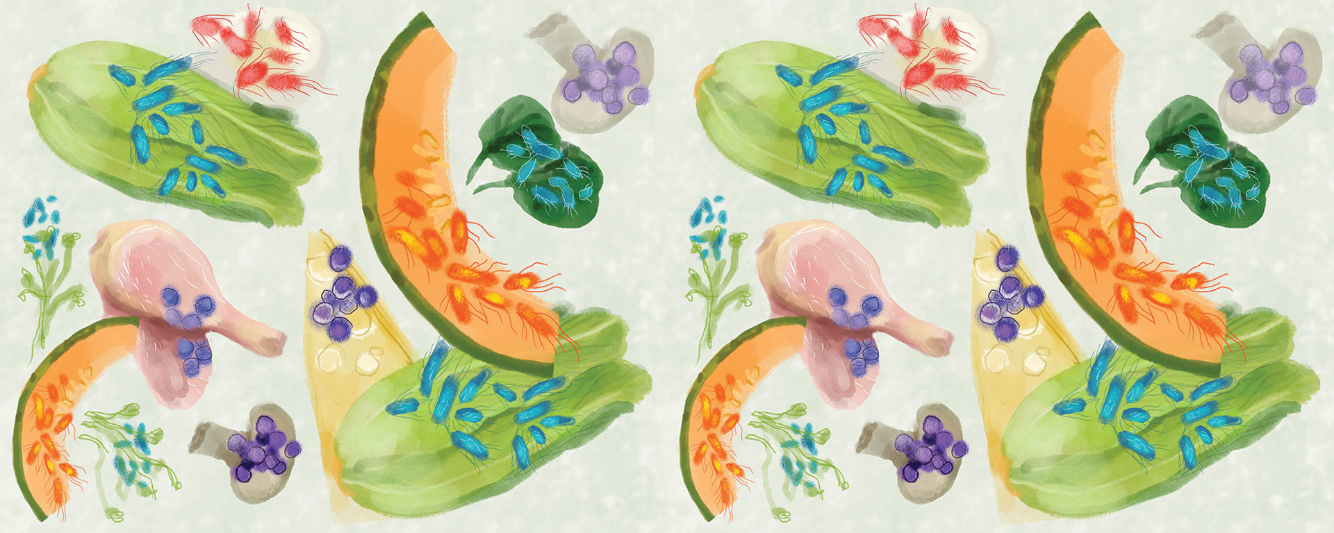 Microbes illustrated by Annie Bakst.
