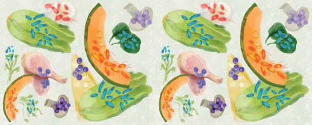 Microbes illustrated by Annie Bakst.