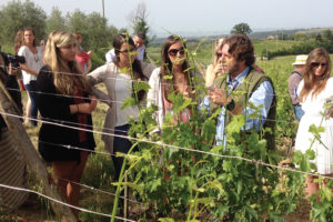 UT students in viticulture on a study abroad in Cortona, Italy.