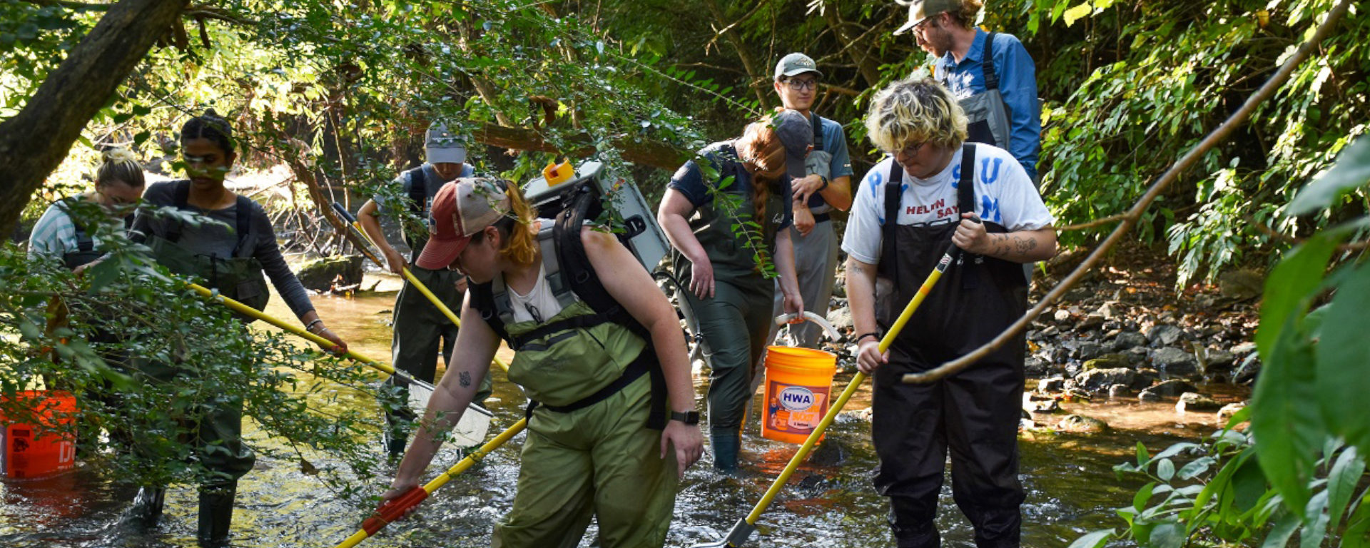 Students in the newly established UTIA School of Natural Resources search a stream for fish. Photo Courtesy