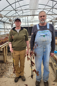 Left, Stacy Clark, U.S. Forest Service scientist, and Scott Schlarbaum, UTIA Tree Improvement Program director.