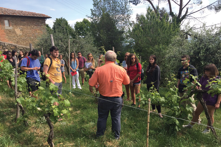 UTIA students and David Lockwood help to resurrect a vineyard in Cortona, Italy.