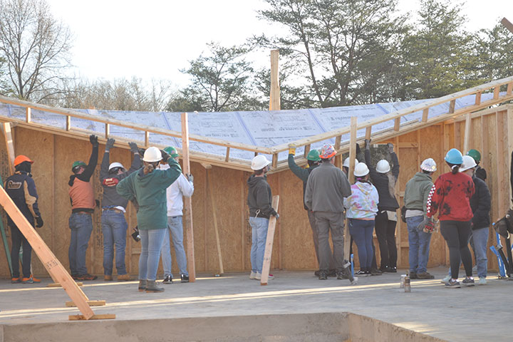 UT Knoxville residential life students help to raise the walls and roof of a Habitat for Humanity house.