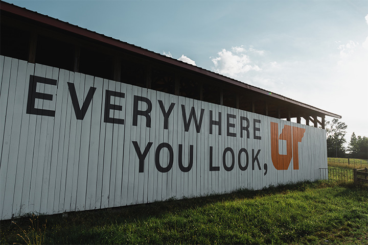 Everywhere You Look, UT mural on a Crossville barn next to Interstate 40.