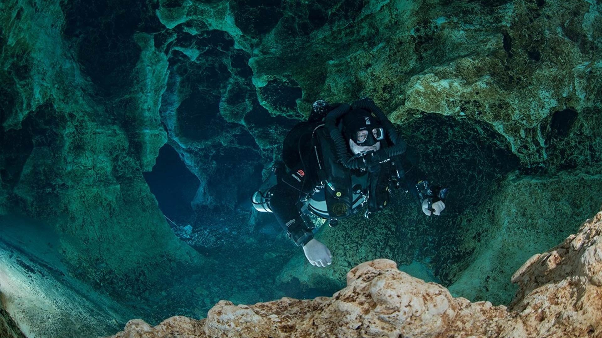 Diving Into Medicine Our Tennessee