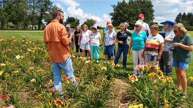 Master Gardeners in Cumberland County learn about day lilies in the UT Gardens, Crossville.