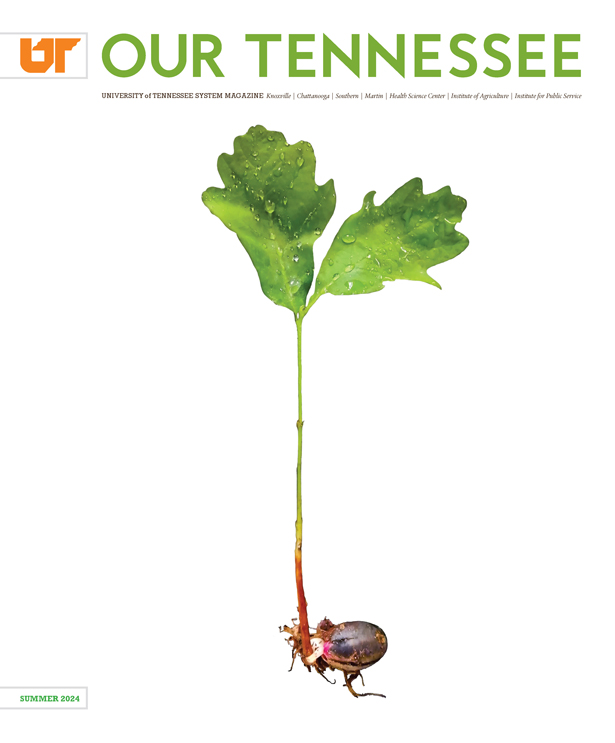 Our Tennessee Summer 2024 Issue cover, showing the image of a growing plant.