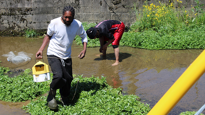 Two black males cleaning a local creek.