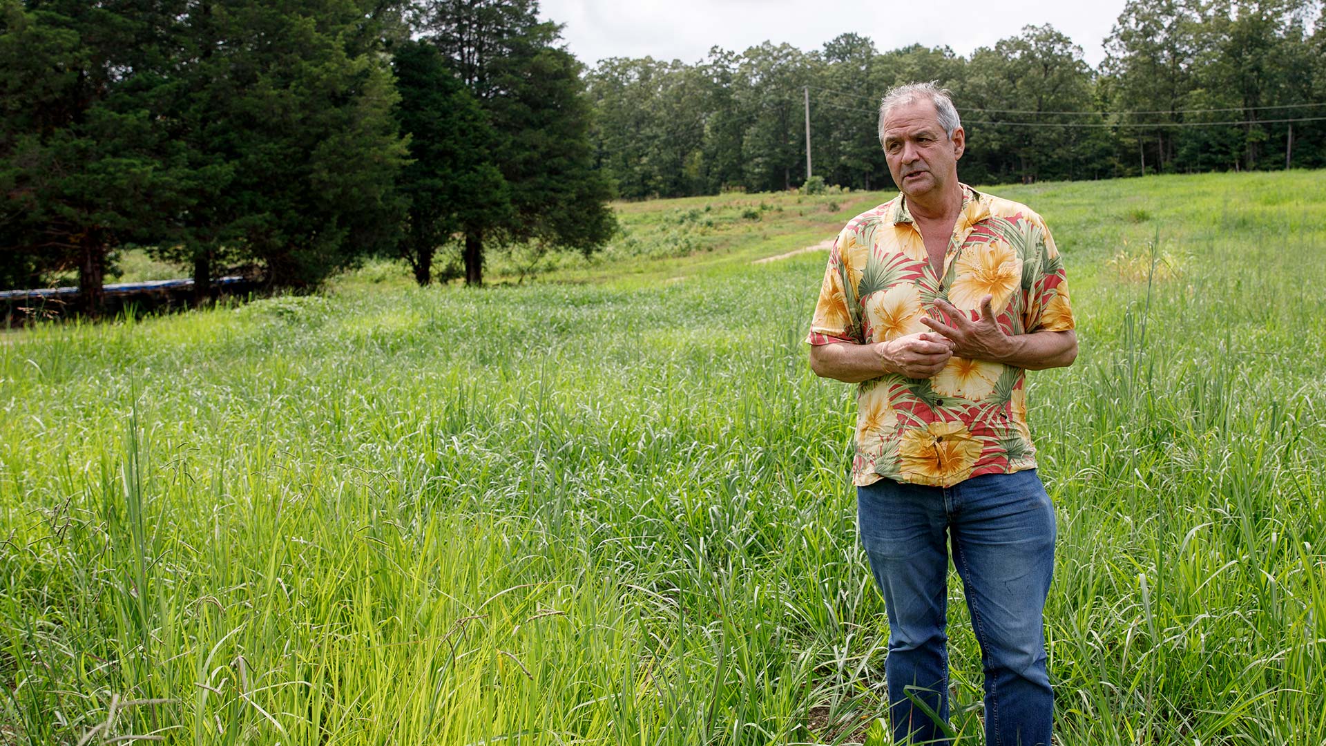 White man wearing a hawaiian shirt, standing in a grassy field.