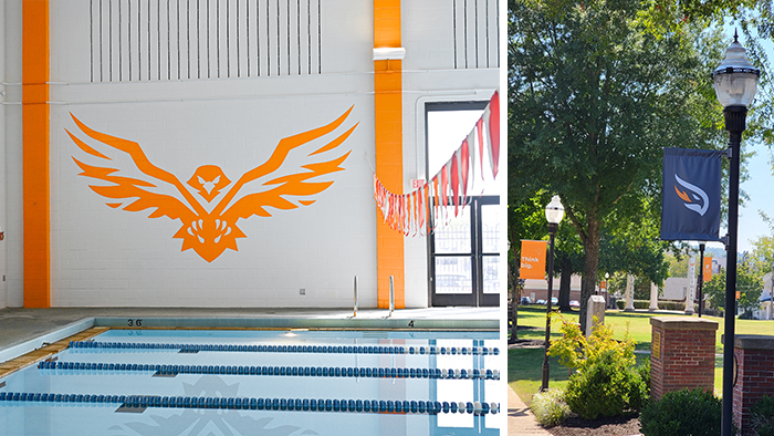 A painted firehawk in a swimming pool facility, and light poles with branded banners.