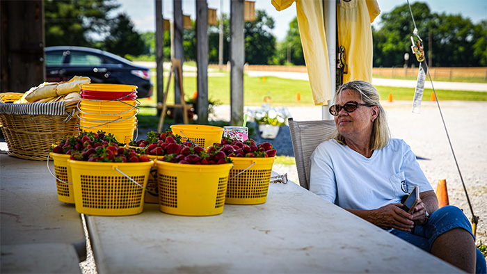 A blonde woman wearing sunglasses and a white shirt sits next to a table holding several yellow buckets full of strawberries.