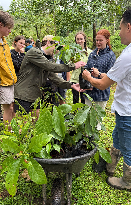 A group of students plant new trees in a wilderness park.