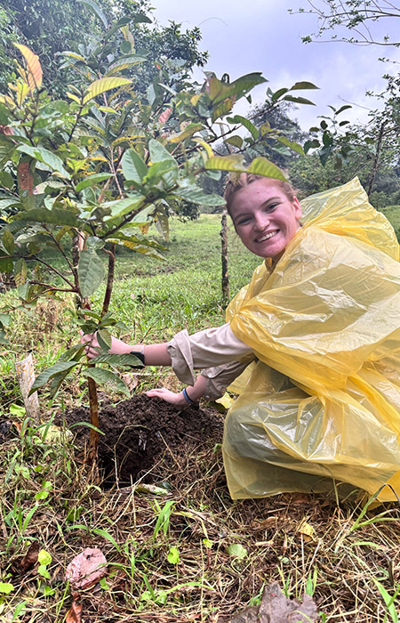 A female student, wearing a yellow rain poncho, plants a tree.