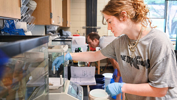 A female student, wearing blue latex gloves, reaches into a glass box to pick up a crawdad.