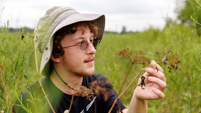 A man wearing glasses and a bucket hat examines a caterpillar in the middle of a dense grass field.