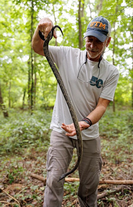 A man using both hands to handle a large rat snake in the middle of the forest.