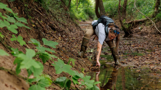 A woman leans over, flipping rocks while searching for reptiles in a creek bed.