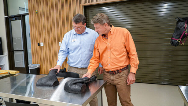 Two men examine model dog legs.