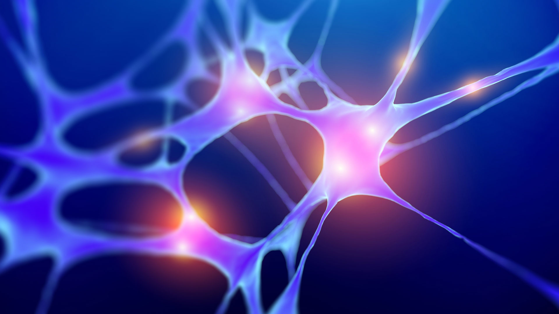 Rendering of neural pathways.