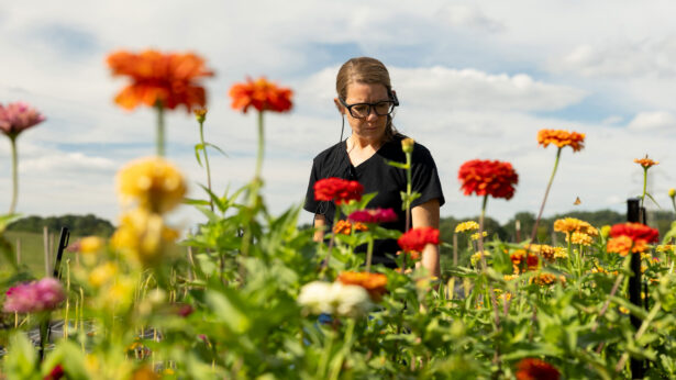 A woman standing in a field of flowers.