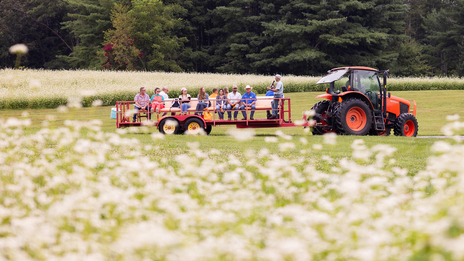 A group of people riding in a tractor trailer the middle of a field.