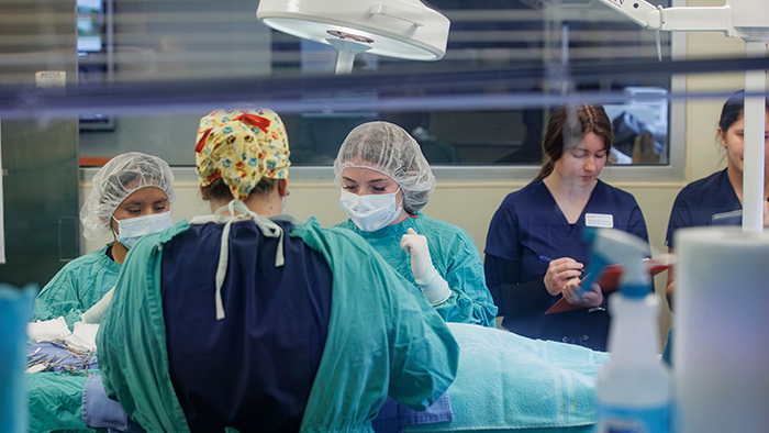 A group of veterinary students in scrubs.