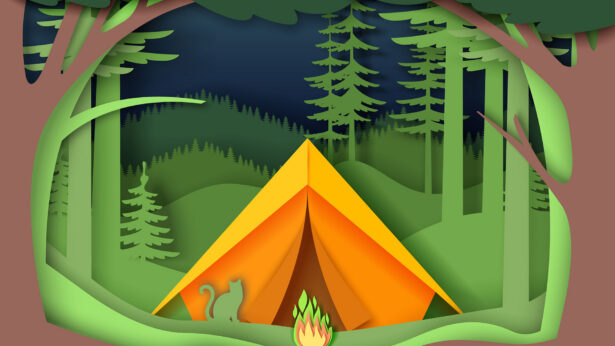 Layered paper artwork of a cat and camping tent in a forest.