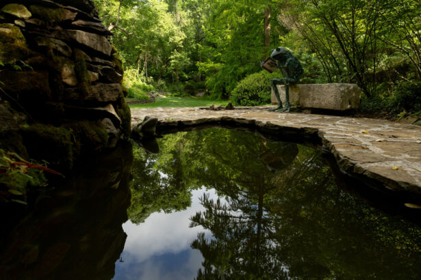 Frog sculptures in various poses next to a garden pond.