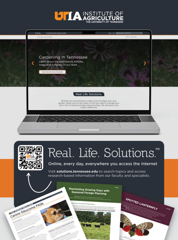 Flyer advertising a digital library of agricultural resources, available at solutions.tennessee.edu.
