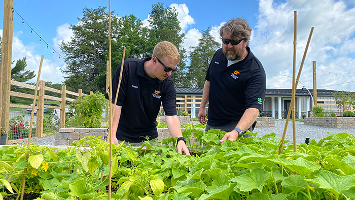 Two men examining growing plants in a garden.