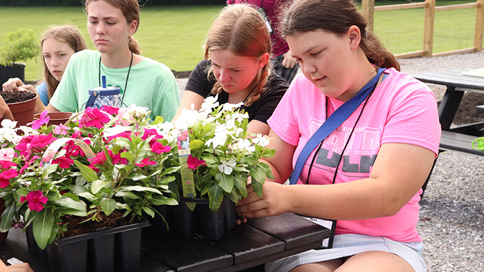 A group of middle school girls examining trays of growing flowers.