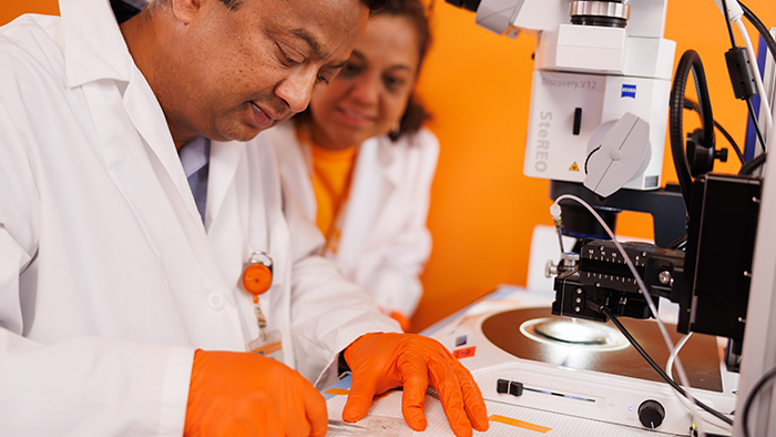 A man and women in white lab coats examining a sample on a microscope slide.