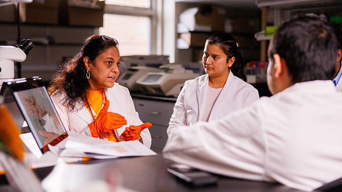 Four people sitting in a laboratory space talking.